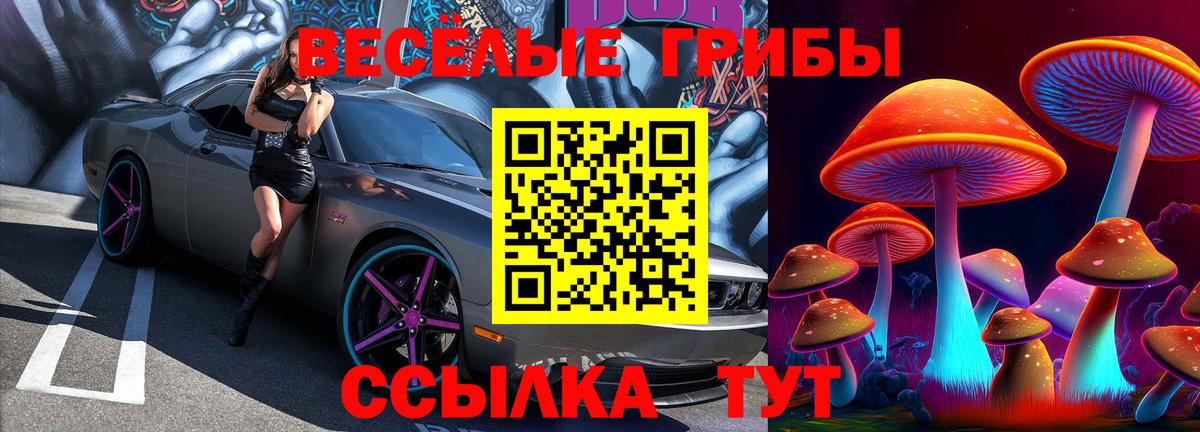 Всеволожск  Галлюциногенные грибы Psilocybe  Вход с VPN 
