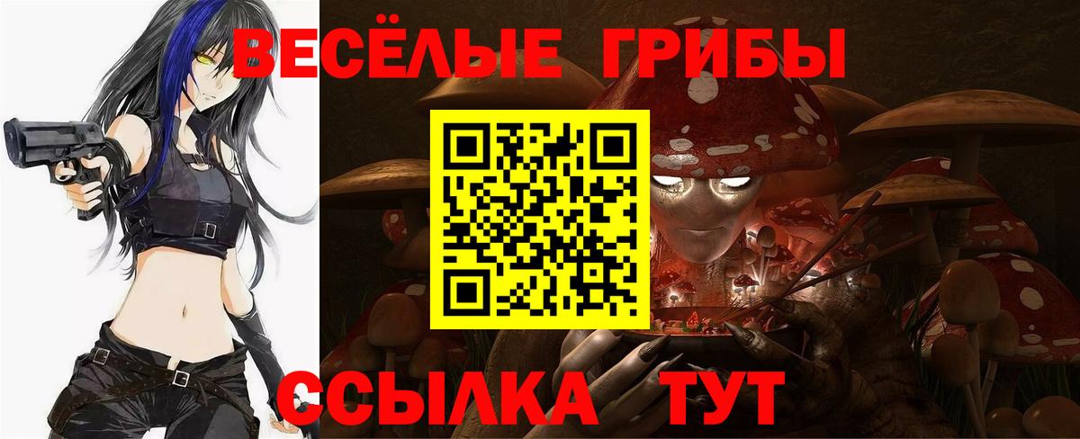 Галлюциногенные грибы Psilocybe Всеволожск