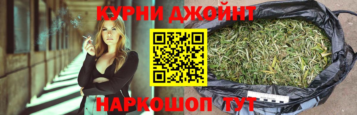 Бошки марихуана сатива  Вход с VPN  Конопля марихуана  Каннабис планчик  Всеволожск 